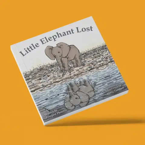 Little Elephant Lost book cover